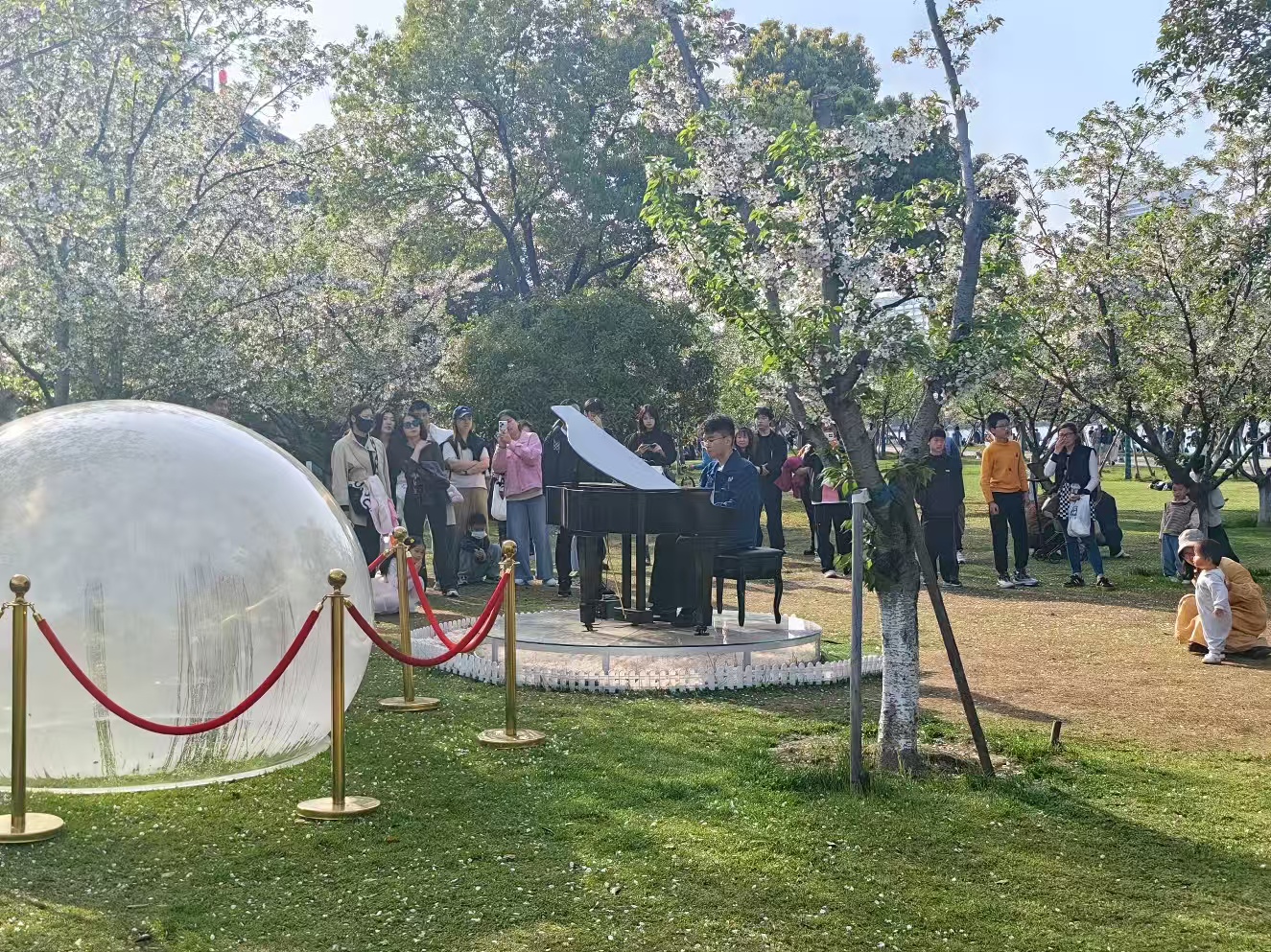 玄武湖草地上的钢琴与人群